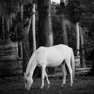 Meet your Posher, Karey